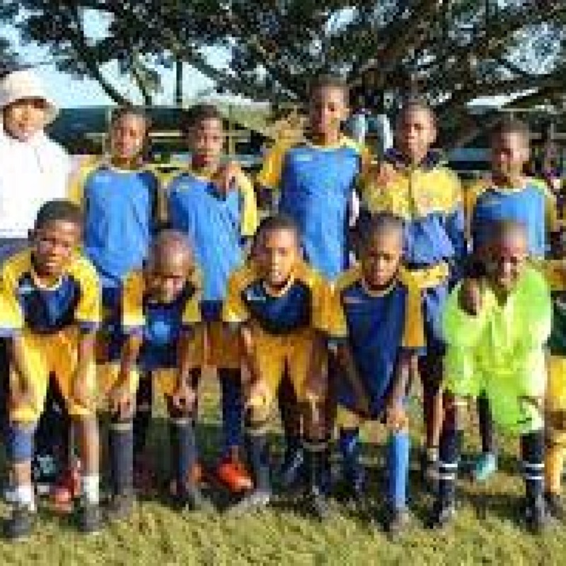 document_categories/images (2).jpg